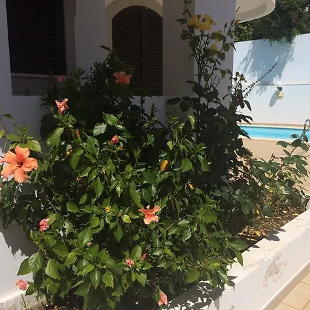 Casa Silva בית נופש *